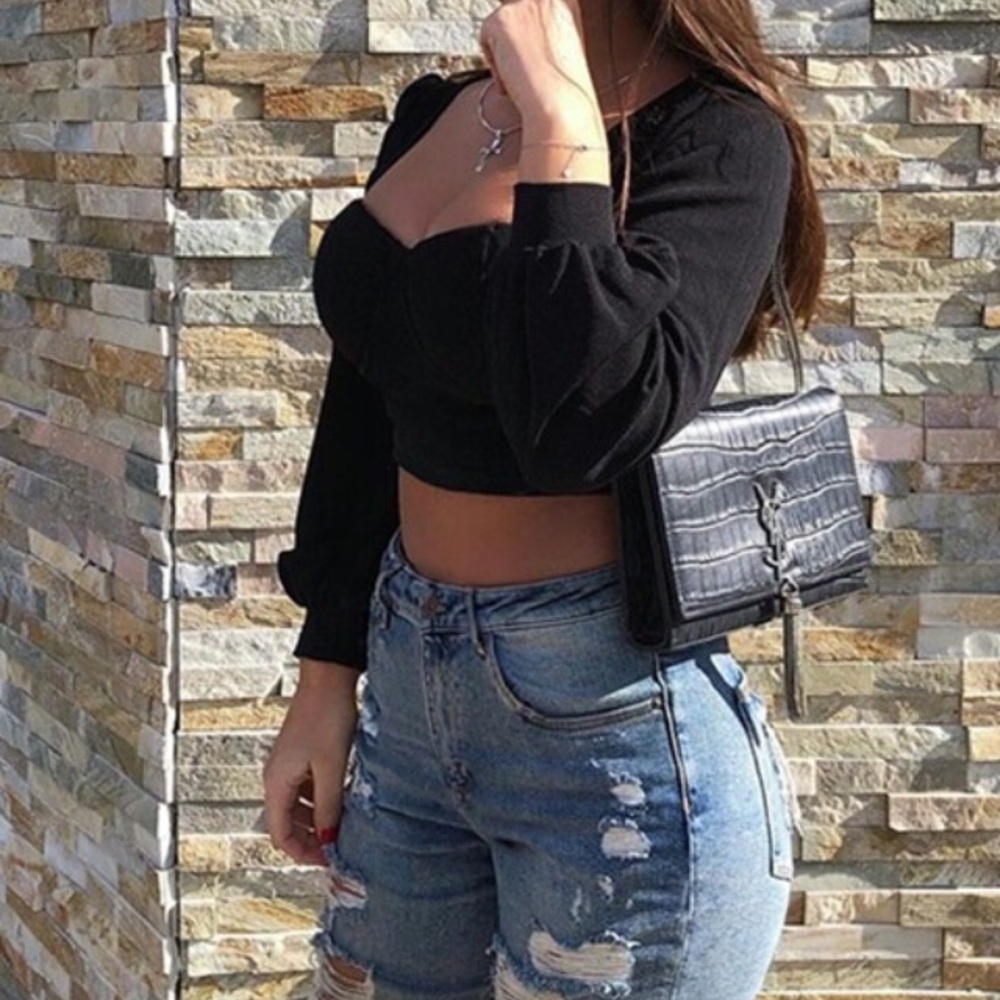 Long Sleeve Top Cropped Top